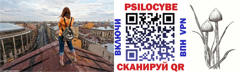 Купить закладки  Сегежа  Галлюциногенные грибы Psilocybine cubensis 